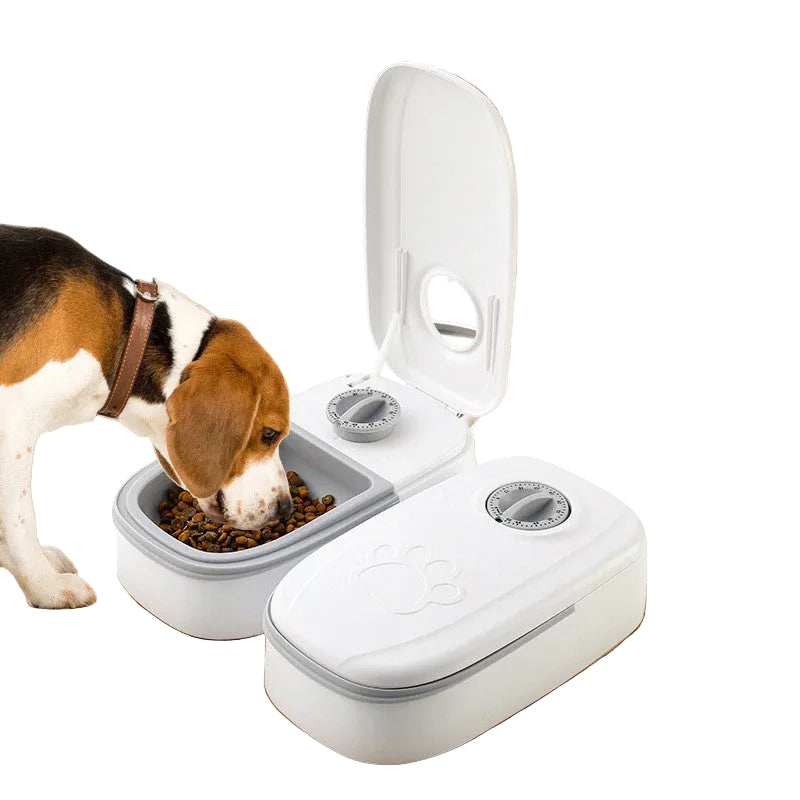 automatic pet feeder with timer function for pets